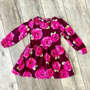 Crazy8 Girl Fall Flower Long Sleeve Dress Size 5T